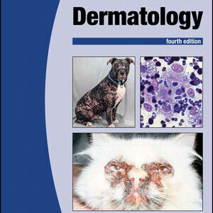 BSAVA Manual of Canine and Feline Dermatology, 4th Edition /Hilary Jackson (Editor), Rosanna Marsella (Editor)