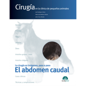 El abdomen caudal. Cirugía en la clínica de pequeños animales