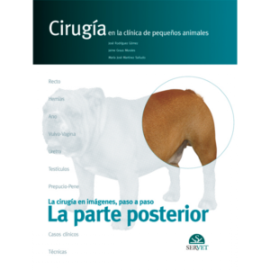 La parte posterior. Cirugía en la clínica de pequeños animales