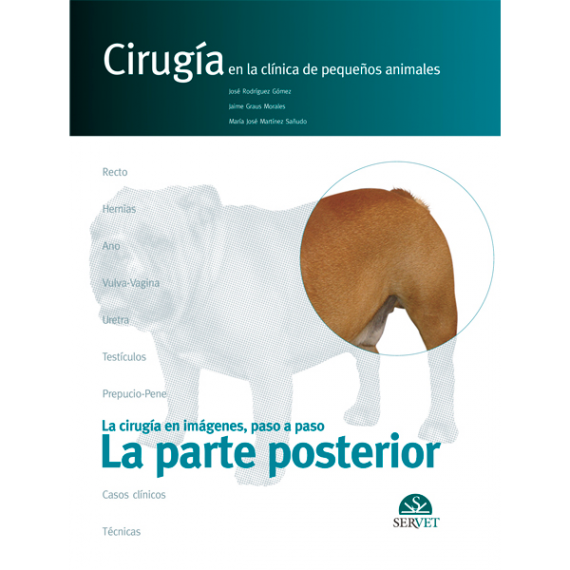 La parte posterior. Cirugía en la clínica de pequeños animales