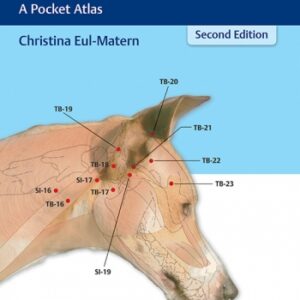 Acupuncture for Dogs and Cats A Pocket Atlas - Eul-Matern