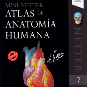 Mini-Netter. Atlas de anatomía humana  -   Netter. Frank
