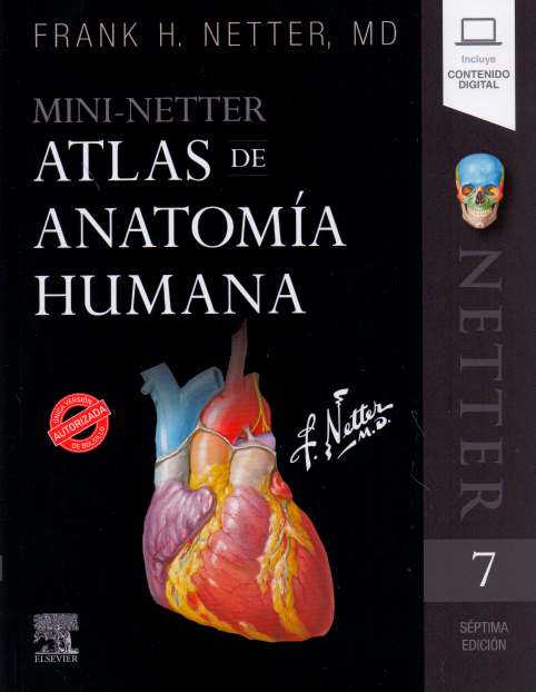 Mini-Netter. Atlas de anatomía humana - Netter. Frank