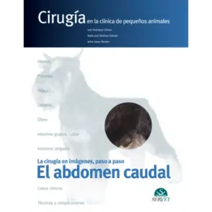 EL ABDOMEN CAUDAL. CIRUGÍA EN LA CLÍNICA DE PEQUEÑOS ANIMALES - Autor/es Jaime Graus Morales, José Rodríguez Gómez, María José Martínez Sañudo