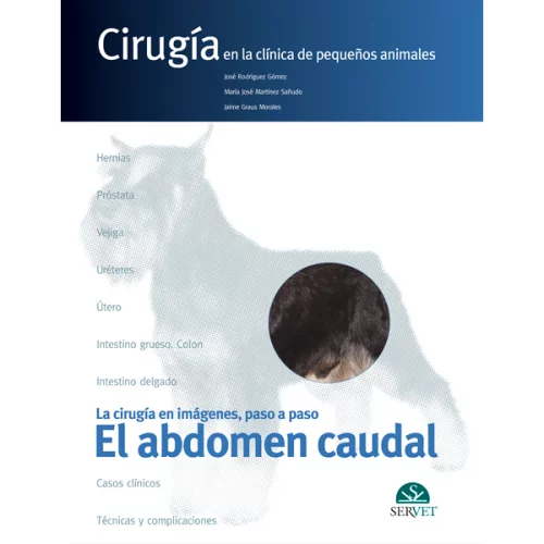 EL ABDOMEN CAUDAL. CIRUGÍA EN LA CLÍNICA DE PEQUEÑOS ANIMALES - Autor/es Jaime Graus Morales, José Rodríguez Gómez, María José Martínez Sañudo