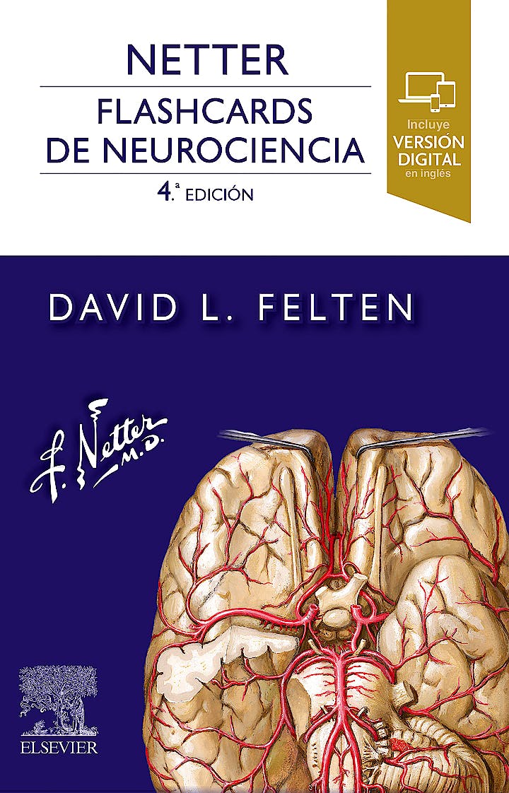 Netter. Flashcards de Neurociencia - Felten L. David