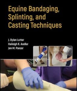 Equine Bandaging, Splinting, and Casting Techniques - J. Dylan Lutter, Haileigh K. Avellar, Jen M. Panzer