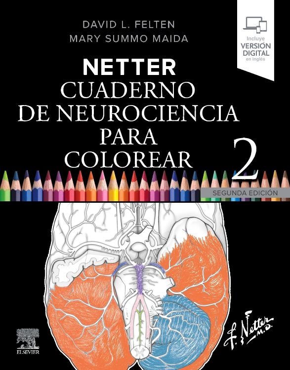 Netter. Cuaderno de neurociencia para colorear 2 edition - David L. Felten