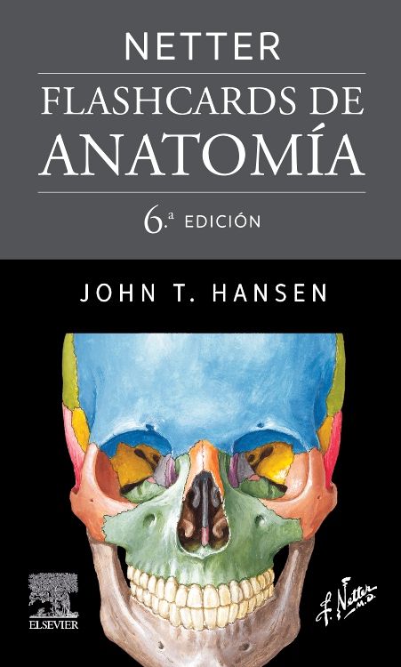 NETTER. Flashcards de Anatomía - 6 edición / Hansen T. John • ELS