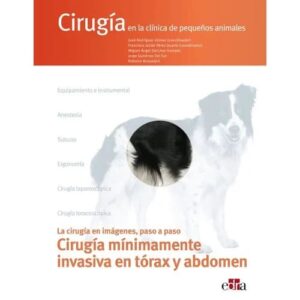 Cirugía mínimamente invasiva en tórax y abdomen - Autor/es Francisco Julian Pérez Duarte, José Rodríguez Gómez
