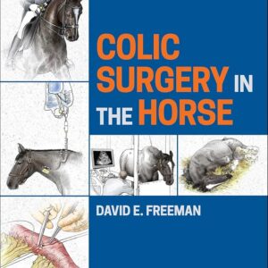 Colic Surgery in the Horse - David E. Freeman
