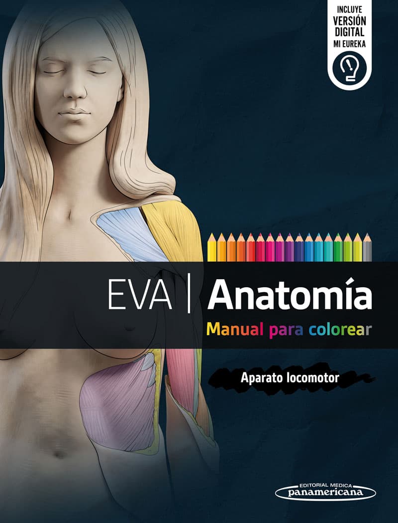 EVA | Anatomía. Manual para colorear Aparato locomotor Novedad 2026