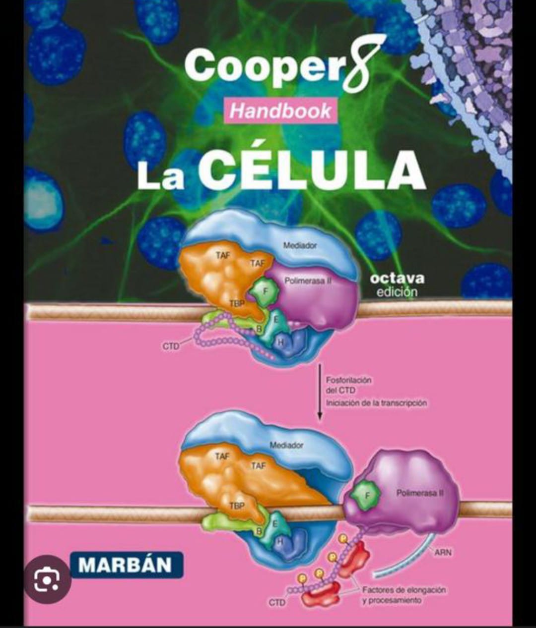 Cooper La Célula Handbook / Autor Cooper, G.