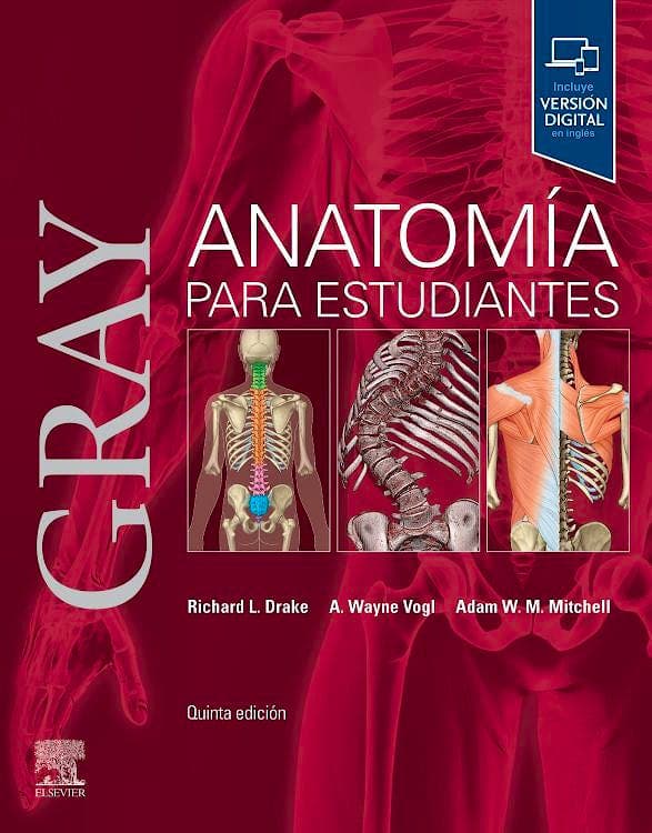 GRAY . ANATOMIA PARA ESTUDIANTES 5 EDICION 2024 /DRAKE
