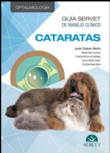 CATARATAS
